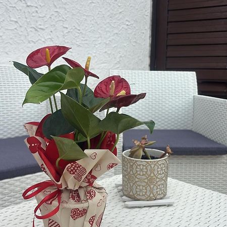 Appartamento Giardini Naxos Butterflies Home Schiso Bagian luar foto