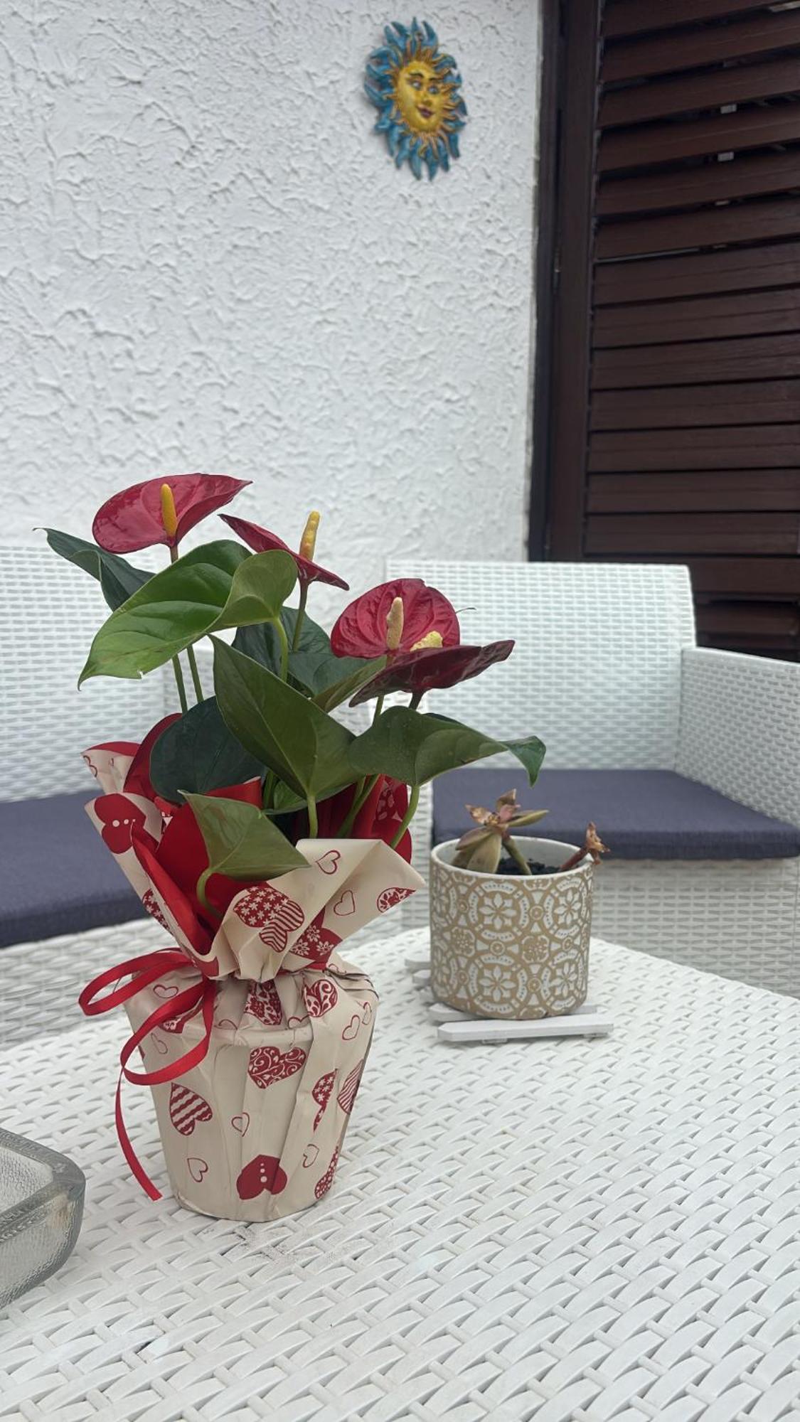 Appartamento Giardini Naxos Butterflies Home Schiso Bagian luar foto